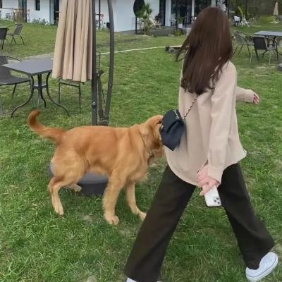 南海观音
